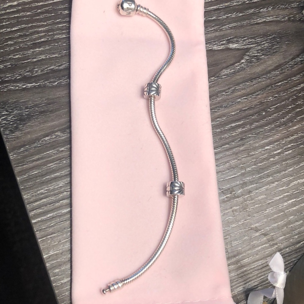 Pandora Snake Chain Bracelet